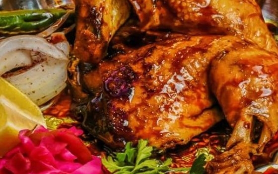 خوراک اکبرجوجه